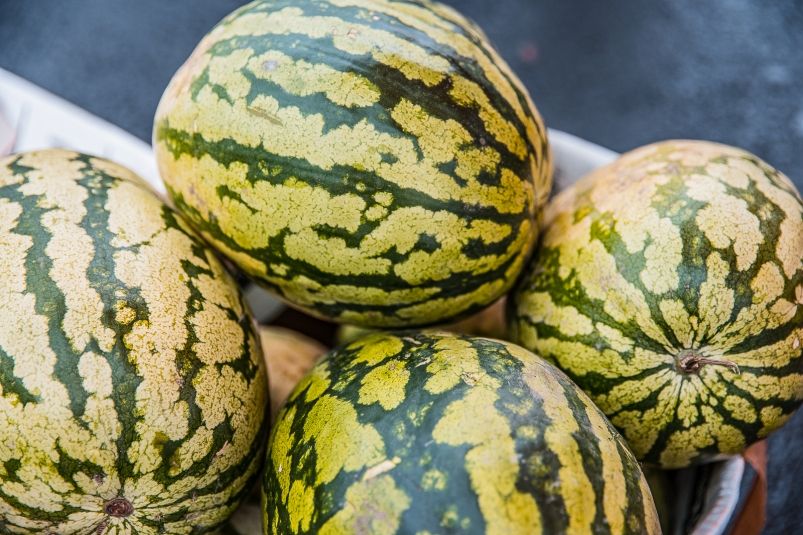 В конце мая — обязательно: лучшее время для посадки арбузов и дынь