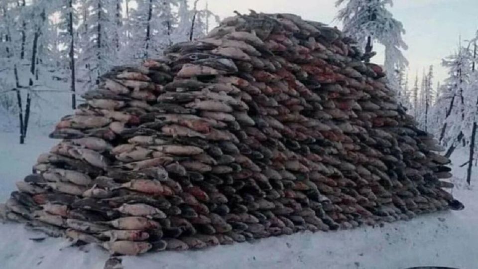  100        