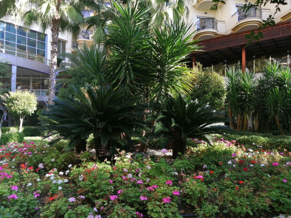  Mukarnas SPA Resort 5*:    