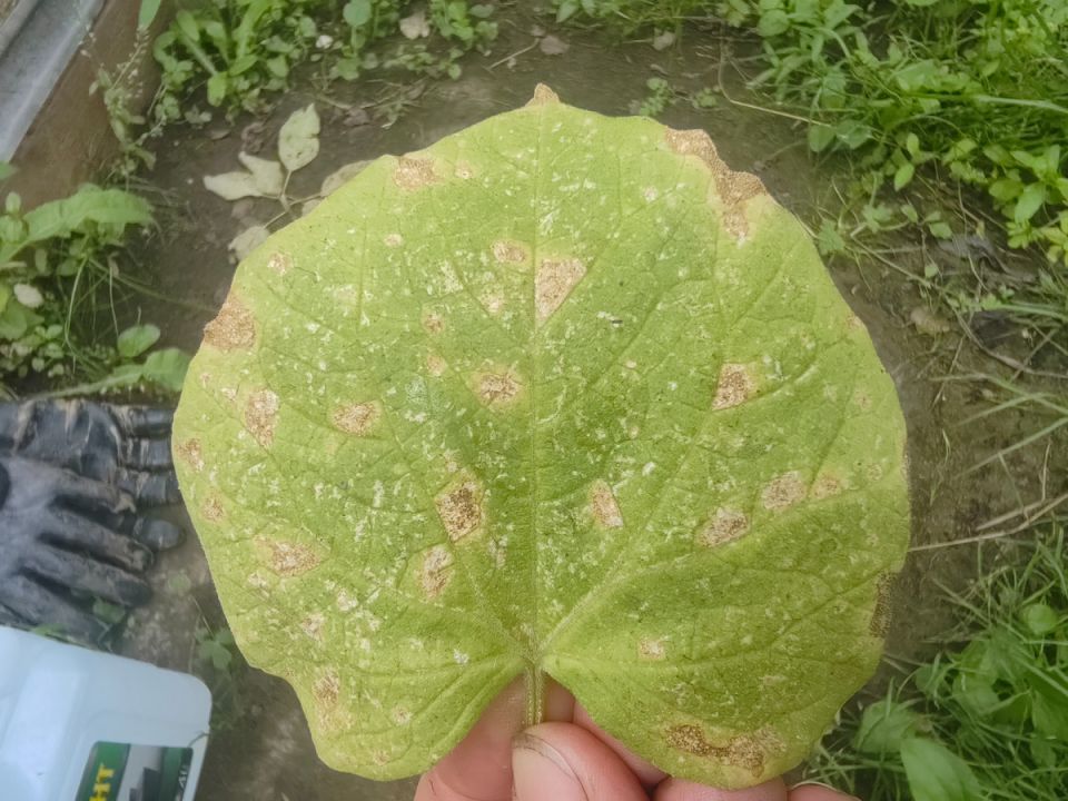   ?     