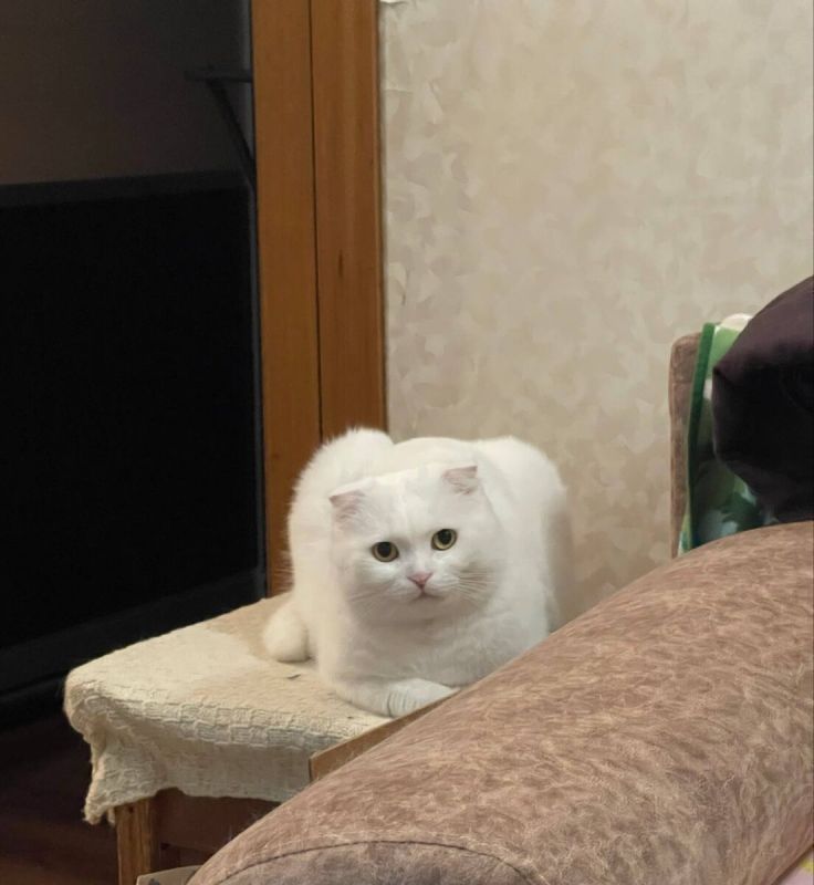    :   