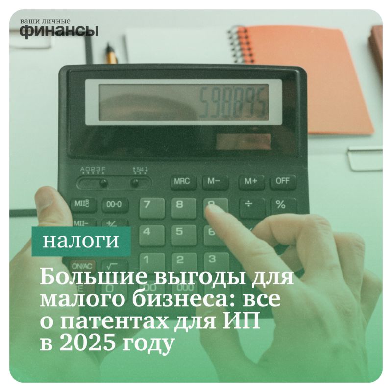   :      2025 