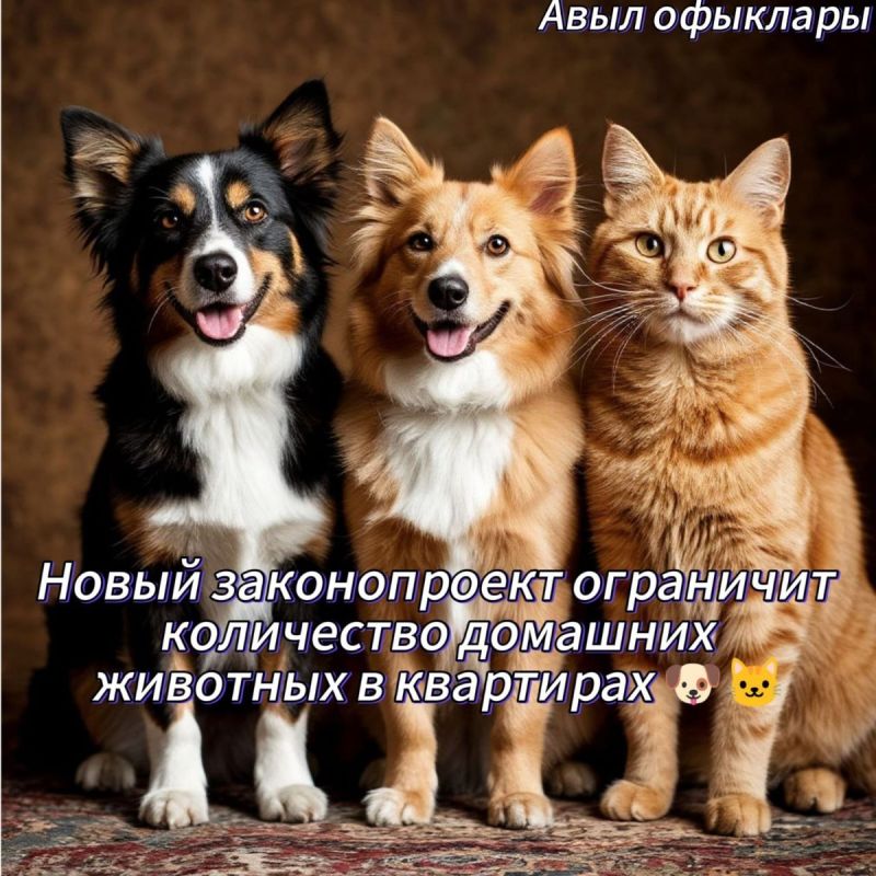     :      ?