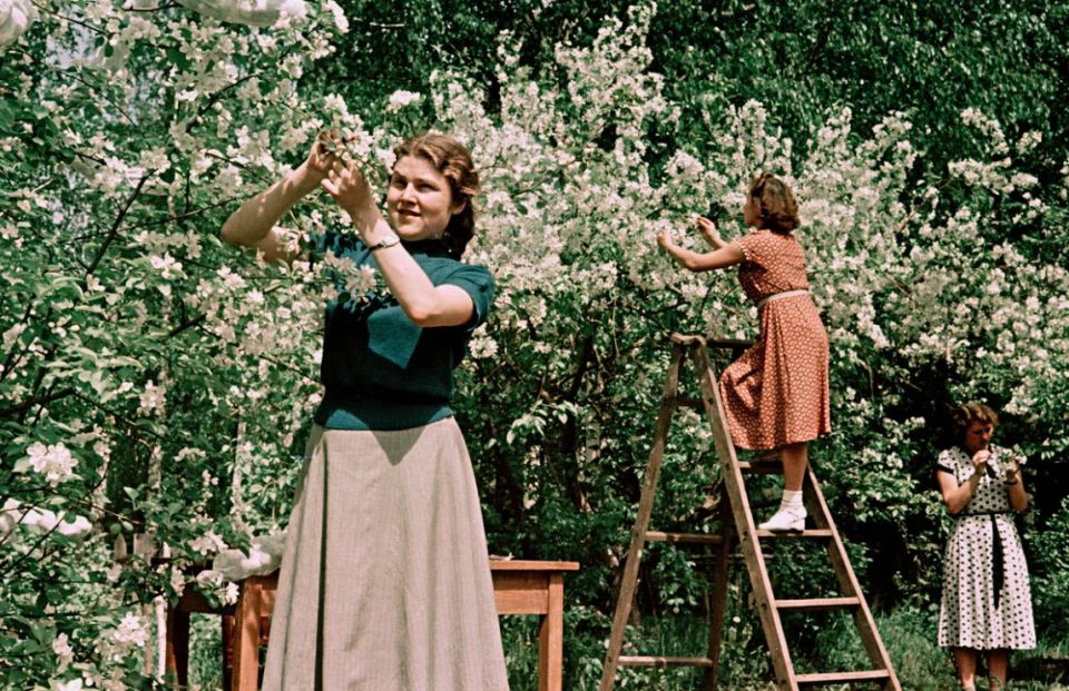 Как наше огородничество изменилось: от бабушкиного участка к современным подходам