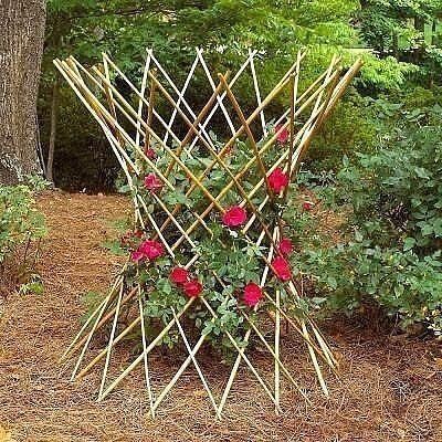 Оригинальные опоры для вьющихся растений: креативные идеи для вашего сада