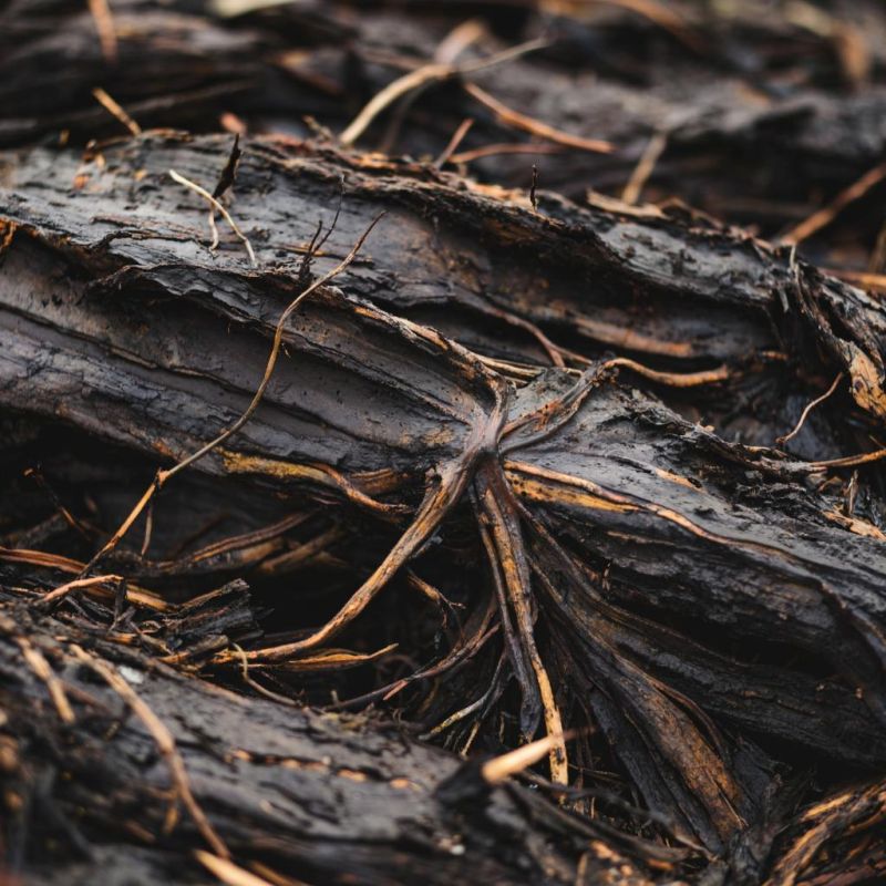 Торф как фактор успешного огорода: что нужно знать дачникам