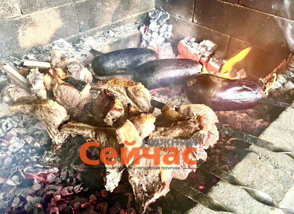 В Богородске закрыли шашлычную из-за антисанитарии и мух