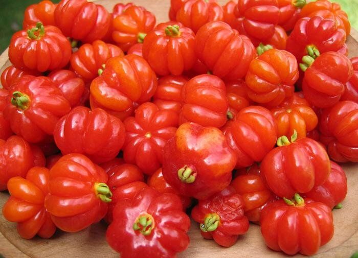 Бразильская вишня с манговым вкусом: новое чудо садоводства в России