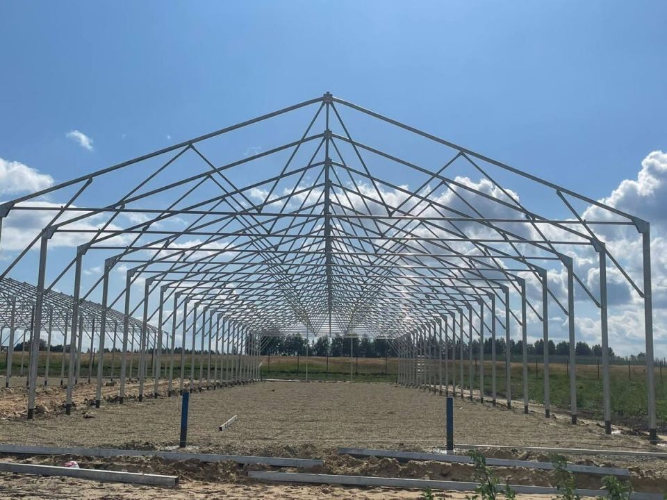Промышленные теплицы: секрет успешного хмелеводства в России