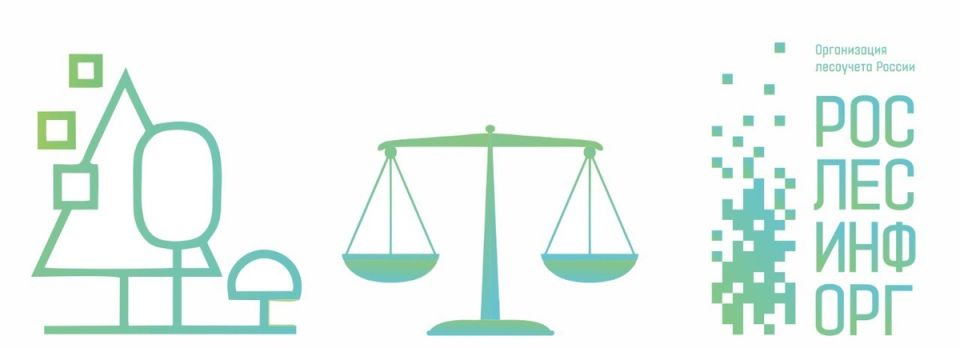 Новые законы и изменения в 2025 году: что ждет россиян?