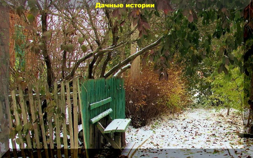 Непревзойденные советы для успешного дачного сезона: ответы на ваши вопросы