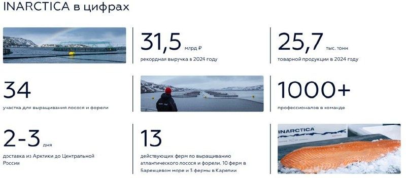 Инарктика: рыба, проблемы и перспективы на 2025 год