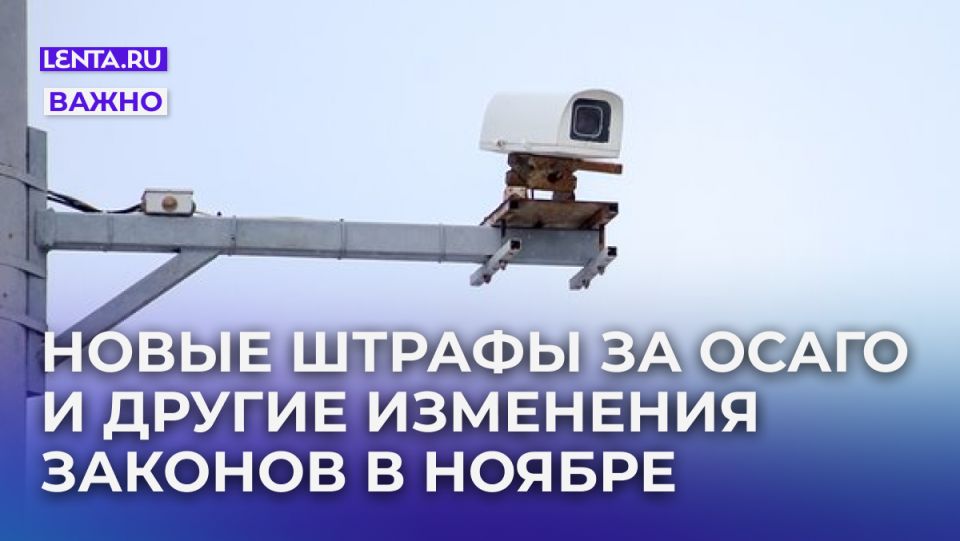 Новые правила ноября: изменения в ОСАГО, налоги и связи, которые повлияют на каждый дом