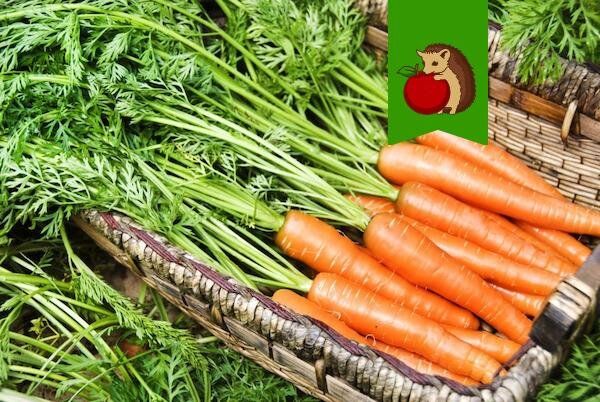 Как сохранить морковь свежей и хрустящей до самого лета