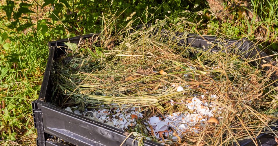 Минприроды РФ объясняет исключение растительных отходов из категории ТКО