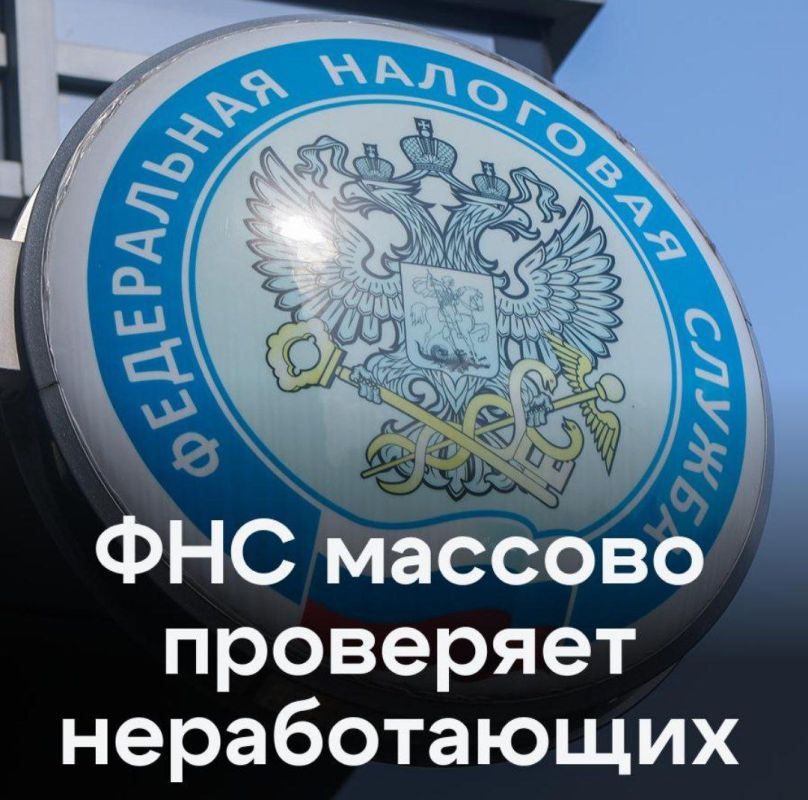 Как налоговая служба ищет укрытые доходы: секреты и последствия