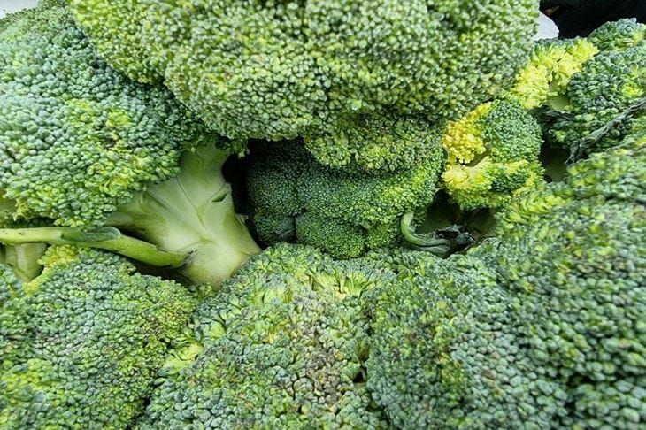 Капуста брокколи: чем полезна и что из нее приготовить