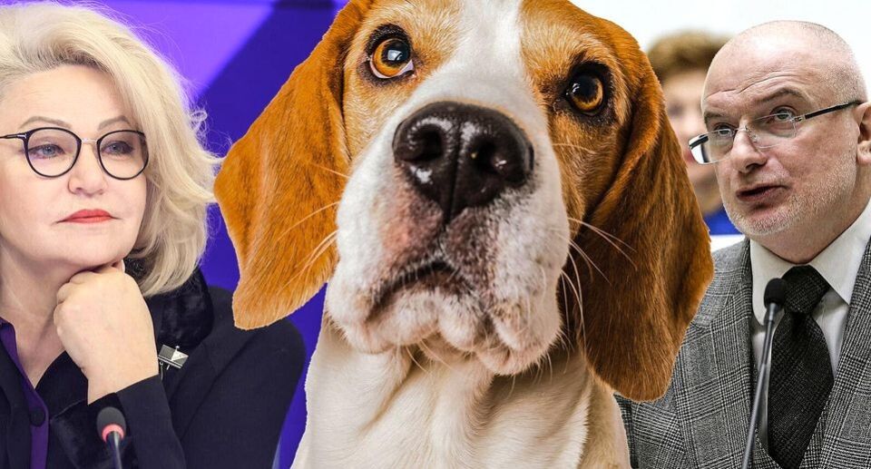 Проект запрета животных в общественных местах: животрепещущая дискуссия в Госдуме