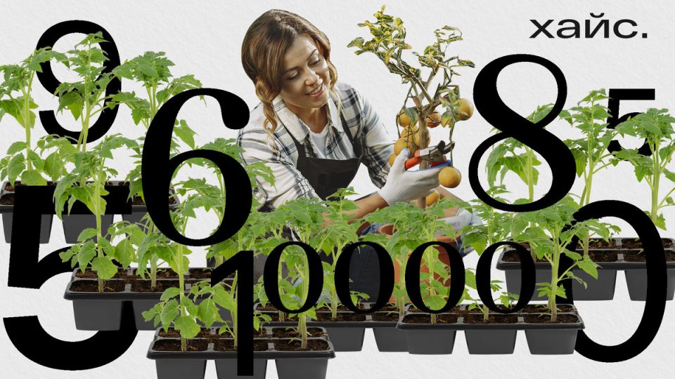 Как выйти на пенсию в 40 лет: реальные шаги к финансовой независимости в России