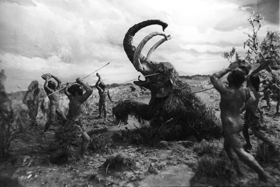 Как углеводы изменили ход человеческой эволюции: свежие открытия ученых