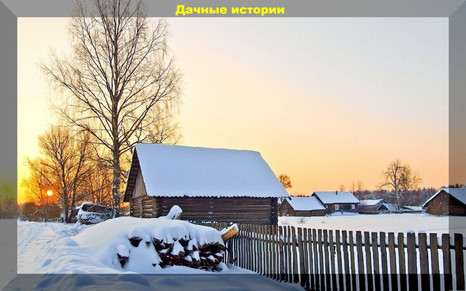 Эффективные секреты ухода за дачными культурами: От моркови до томатов