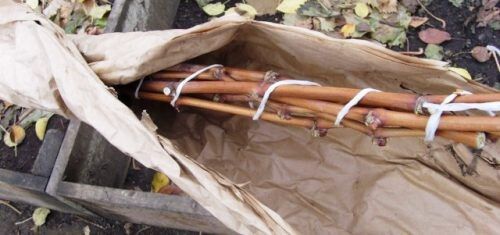 ����� �� ���������: ��� ����������� �������� � ������ ������