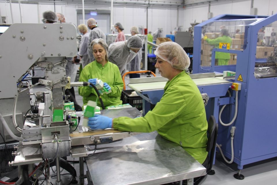 В Балахне нашли секреты здорового питания: как заменители сахара меняют привычки