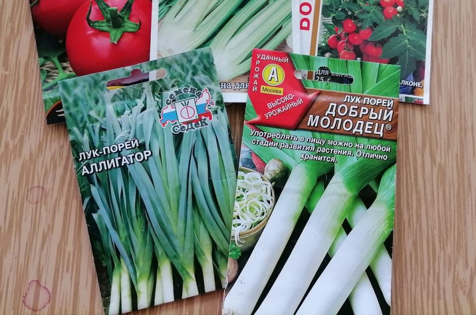 ��� ��������� ���-����� ���� � ������: �������� ������ ��� �����������