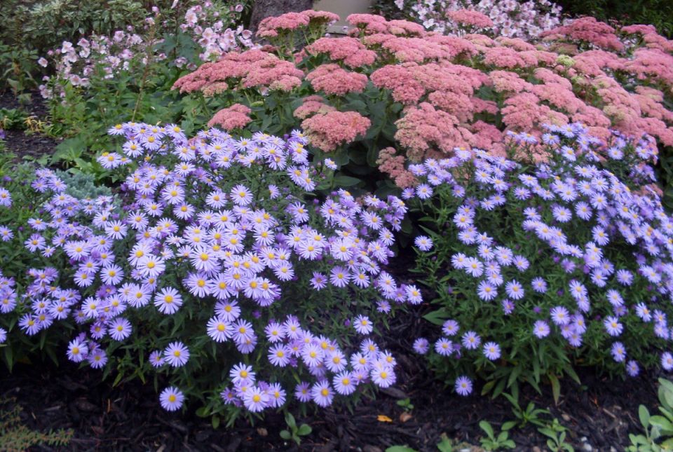 ��� ������� ������� ����������: ����� ��� ������� � ����� ����