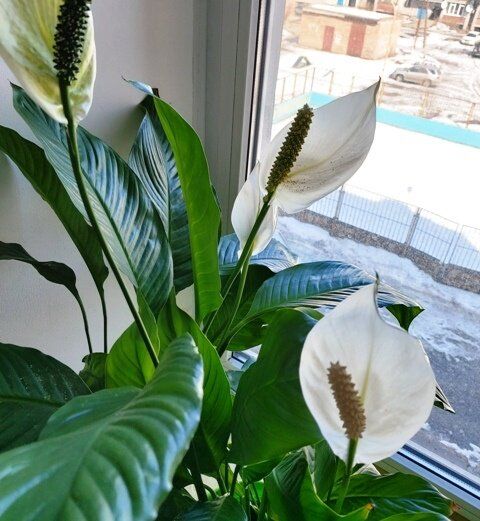 ��� ������� ��������� ������� ��� ������� ��������� ��������