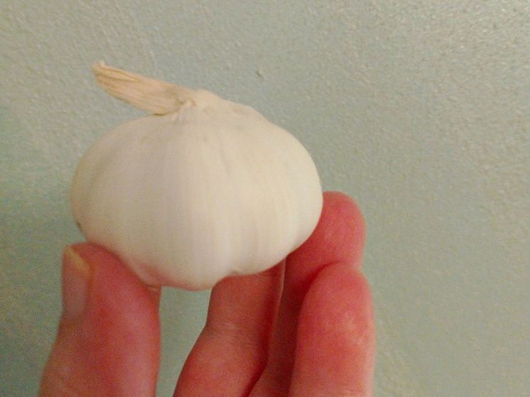 ��� ������ � ������ ����� ����������� �������� ����� �������