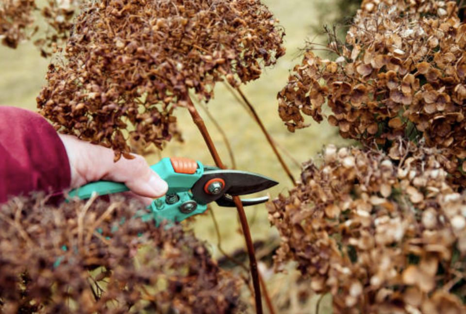 ������� �������� ������� ������� ��������� ��� ������ ��������