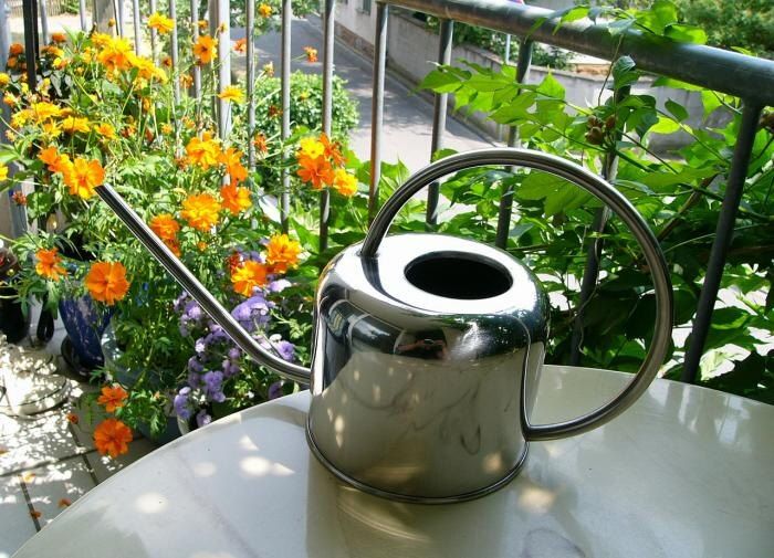 ������ ����: ��� �������� ��������� �������� �� ��������� ������ � �����������