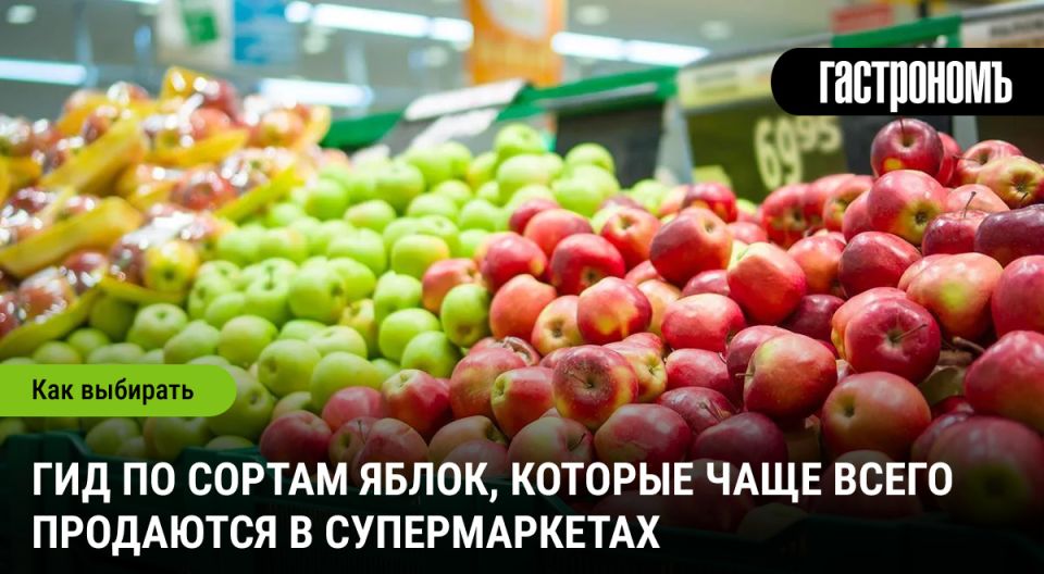 Погружение в мир яблок: лучшие сорта для ваших блюд