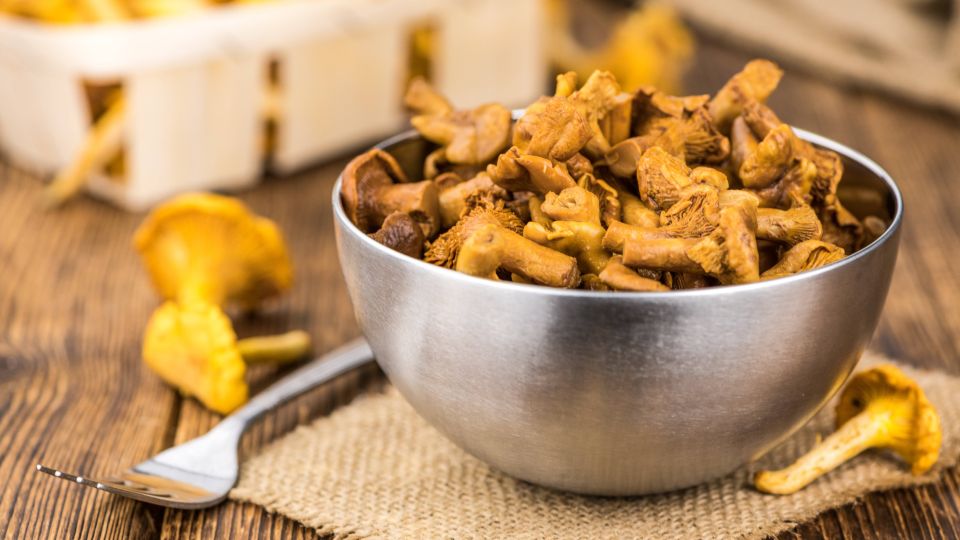 ���� ��� �� ������� ������ ����� �������� ������: ������� ������� �� ����������