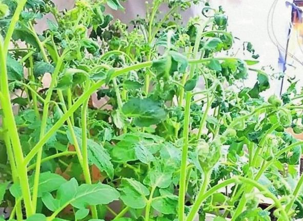 ������ � ����� �� �������� �������