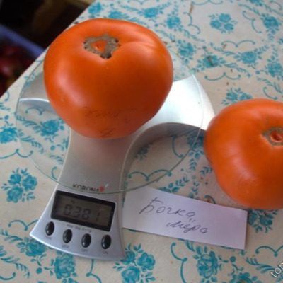 ����� ����� ����: �������� � ������ �����