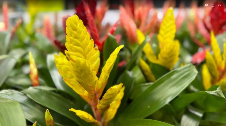 ����� ������ � ���������� ���������� ��������: �� ��� ����� �������� ��������