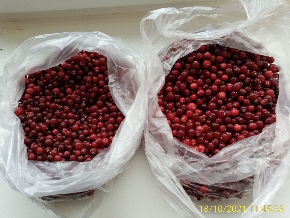 ����� �� ����� ����� �������� ������: ������ �������� �����������