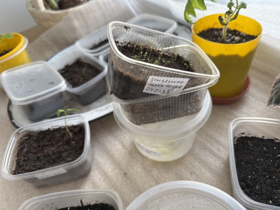 ����������� ������� ��� �������: ��� ��� �������� � ������ ����� �������� ������