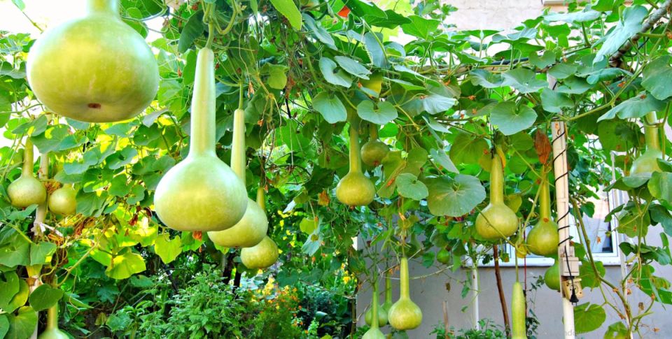 ��������� � 200-�������� �����: ��� �������� ���� � �������� ����� �� �����