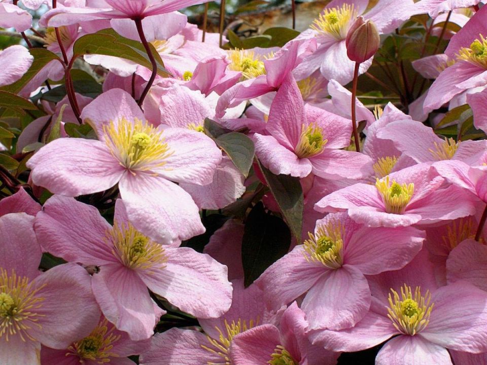 �������� ��� ������������� ����������: ��������� ����������� �� ������ � �����