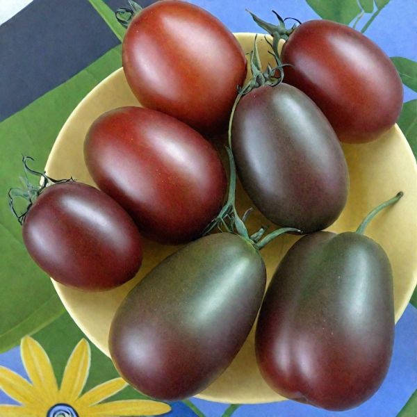 Томат Монисто шоколадное: декоративные кисти и вкус в одной грядке