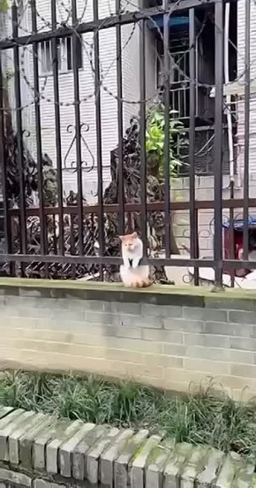 ... ,  !