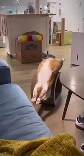   !