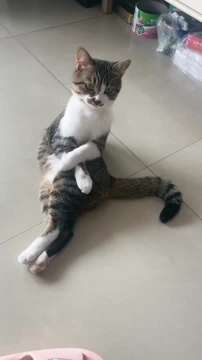  -?  ?