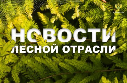   :     56     