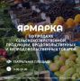 На Театральной площади Саратова откроется ярмарка
