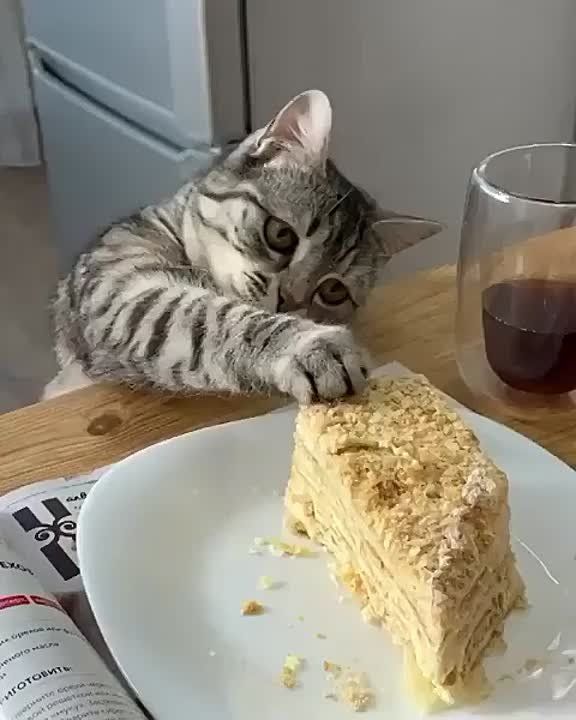  ,       !