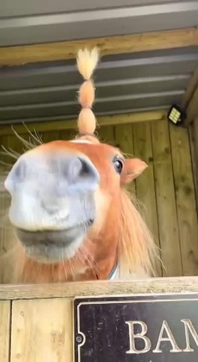       )